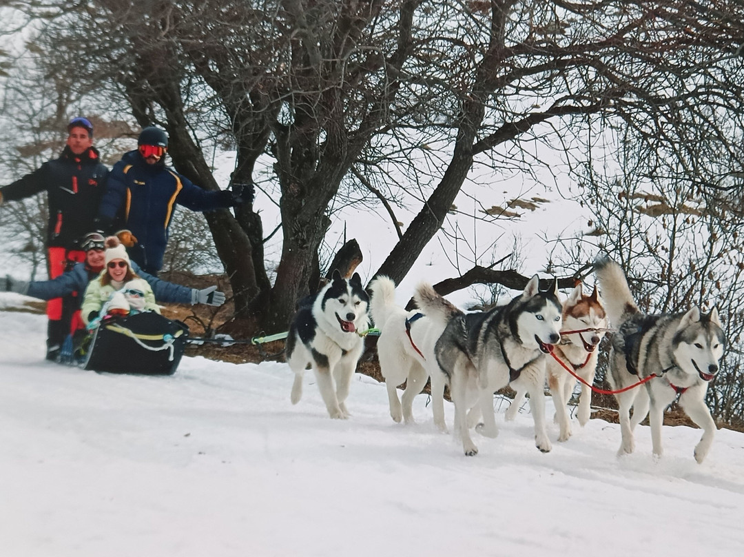 Chiens de Traineau-Saint Francois Longchamp必去景点