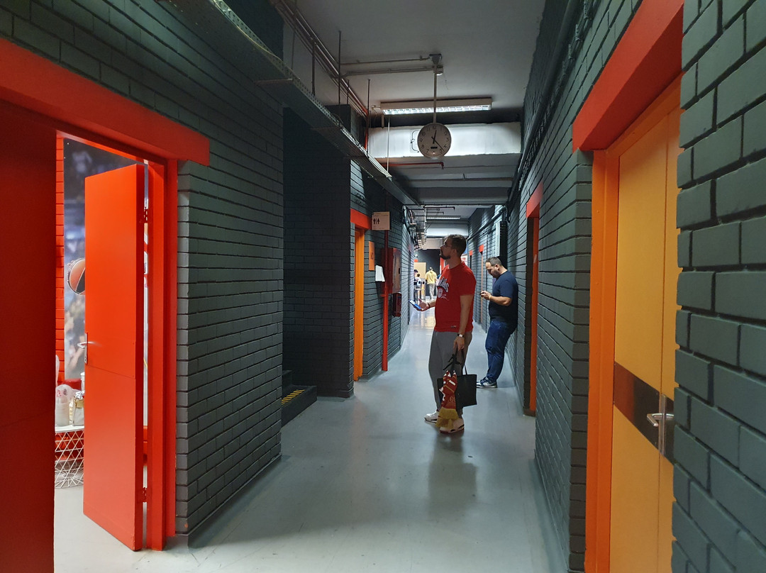 Peace and Friendship Stadium-比雷埃夫斯必去景点