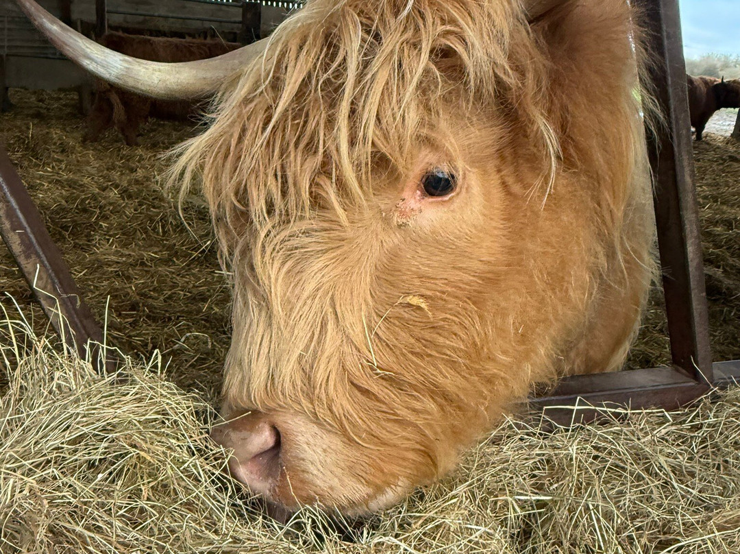 Colready Highlands-Brackley必去景点