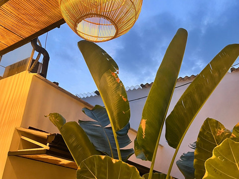 Casa Zoé Hotel Boutique