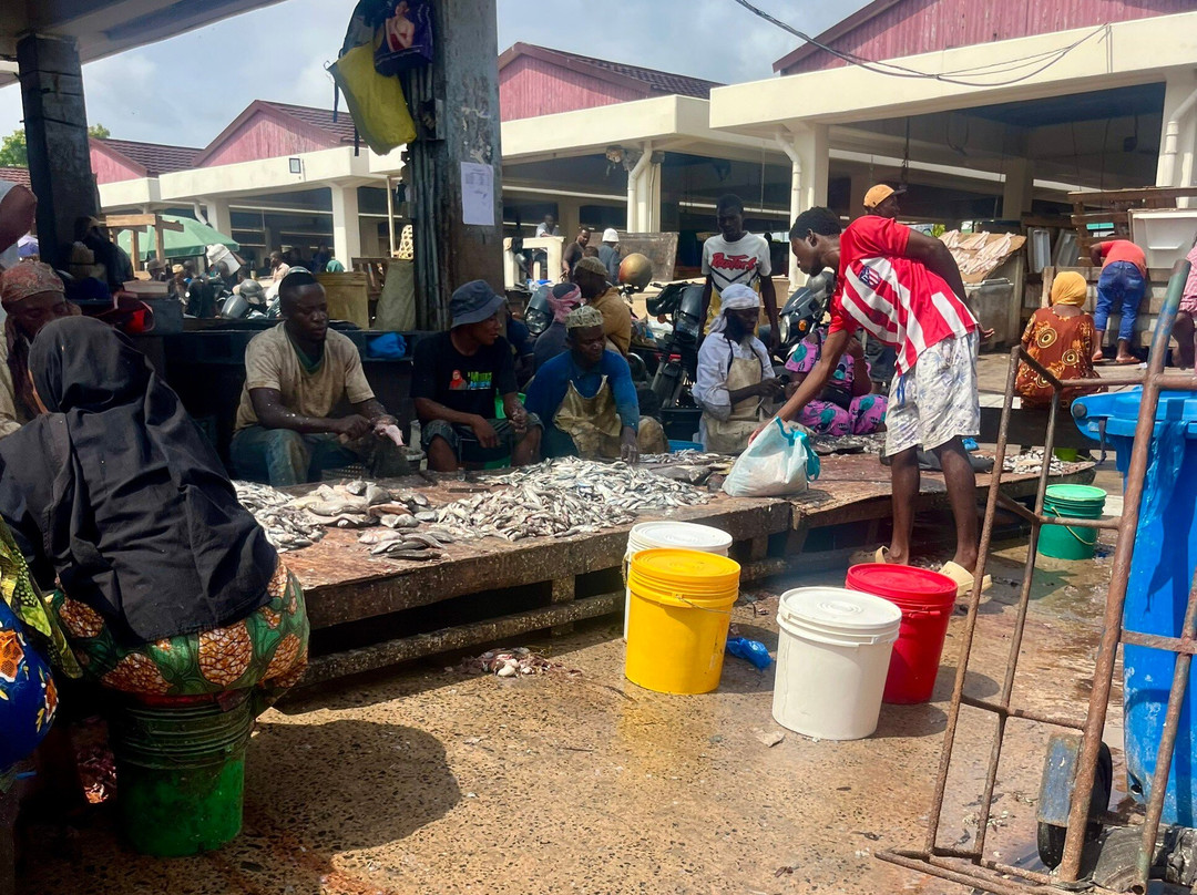 Kivukoni Fish Market-Dar es Salaam必去景点
