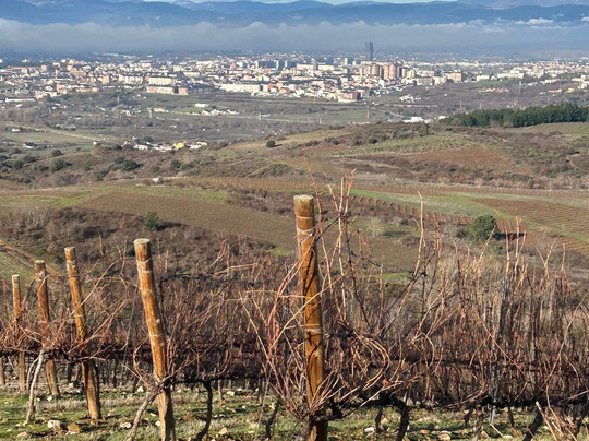Bodegas Emilio Moro Bierzo-蓬费拉达必去景点
