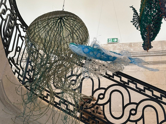 Muséum d'Histoire Naturelle-勒阿弗尔必去景点