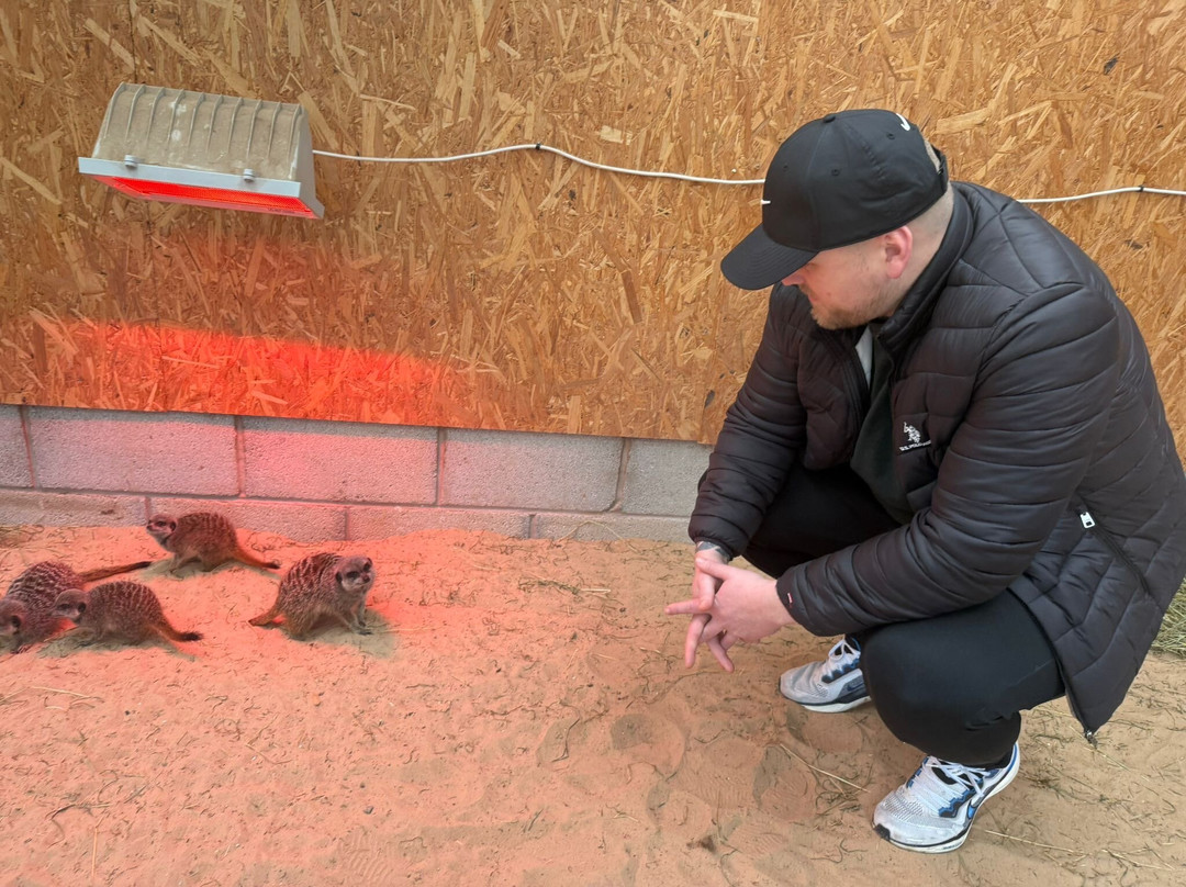 Holmes Chapel Zoo-Holmes Chapel必去景点