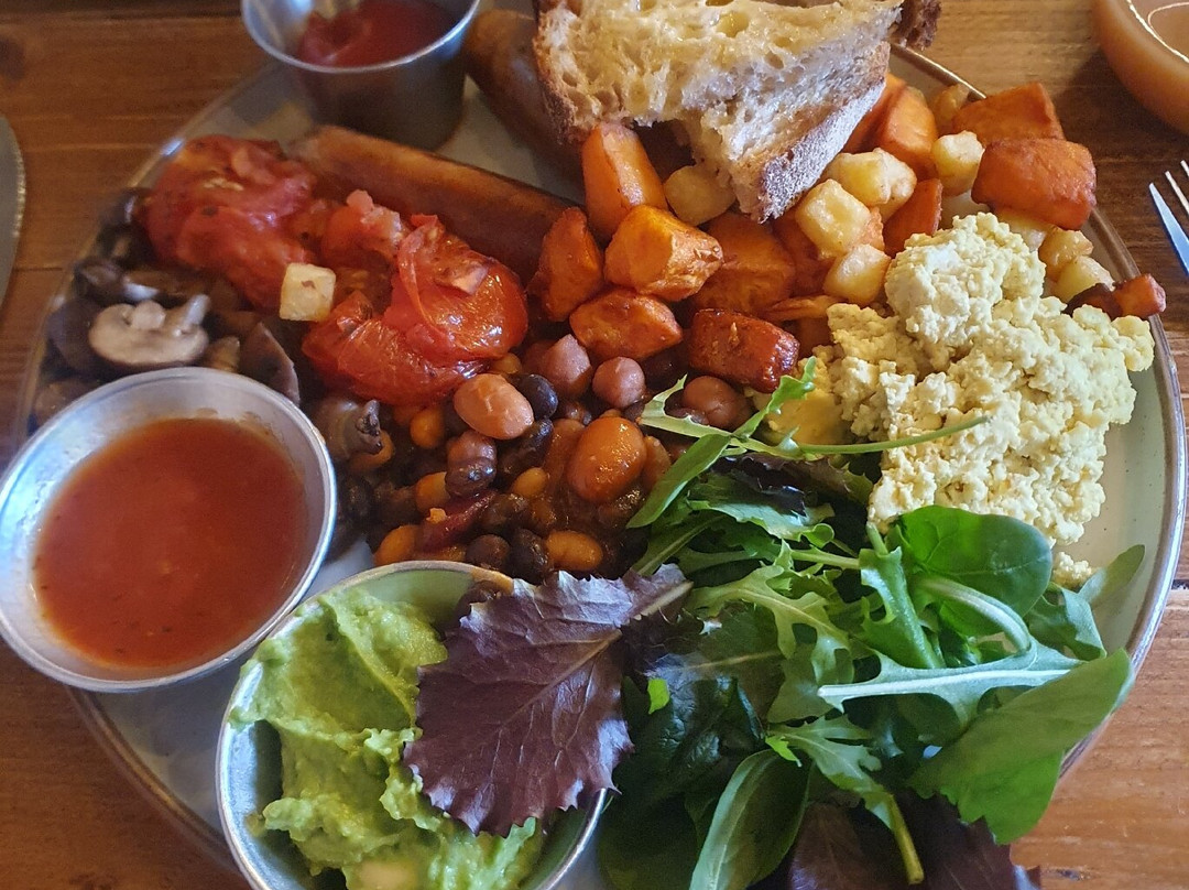 TOGS - The Old Gun Shop