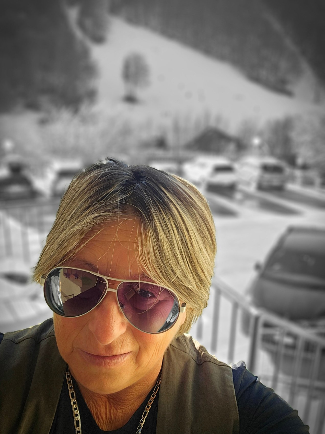 Hotel Ti Bionda Suisse-官方