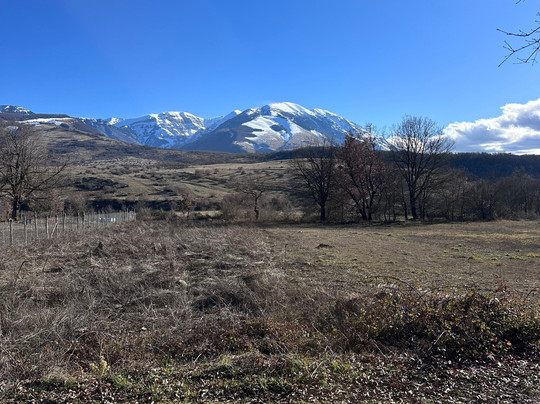 Country House Case Catalano主图