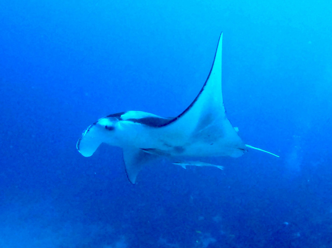 Himmafushi Scuba Adventure-Himmafushi Island必去景点