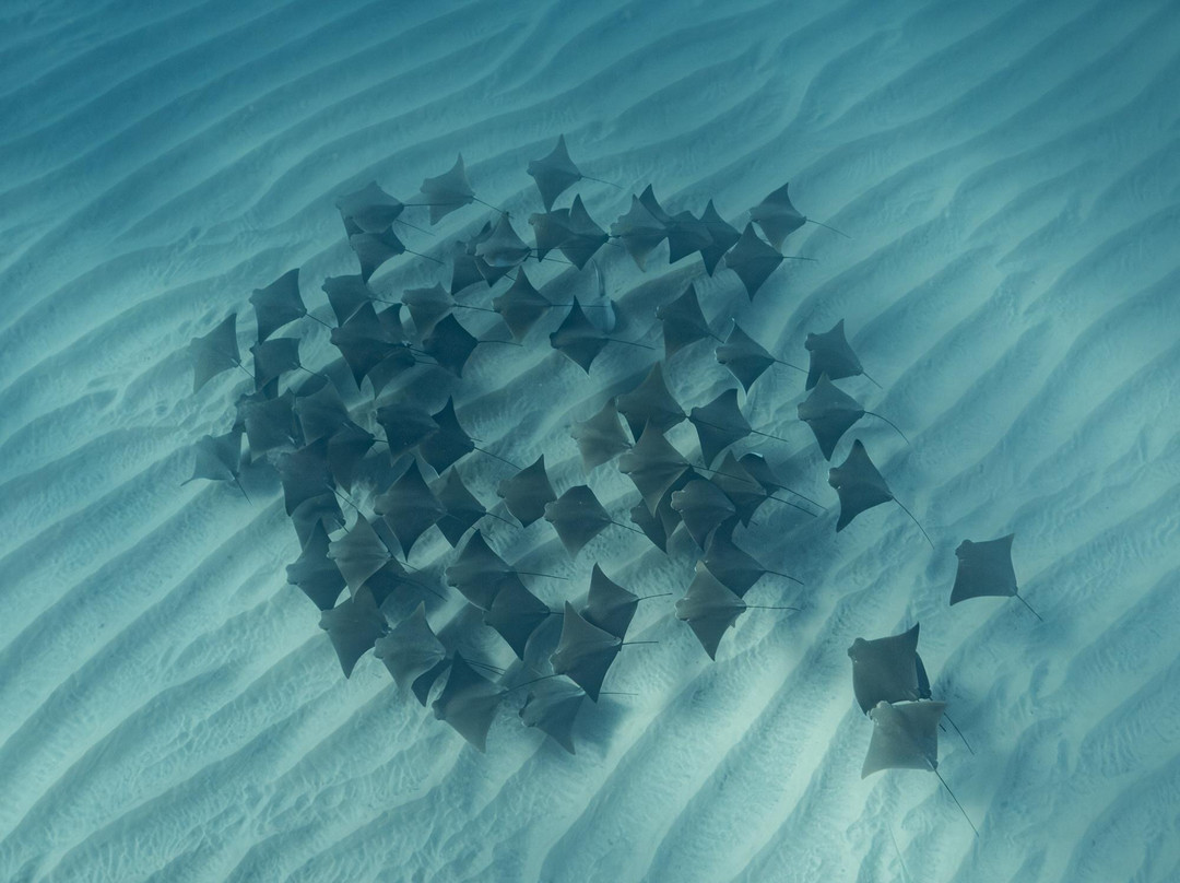 Uncharted Expeditions-圣何塞卡波必去景点