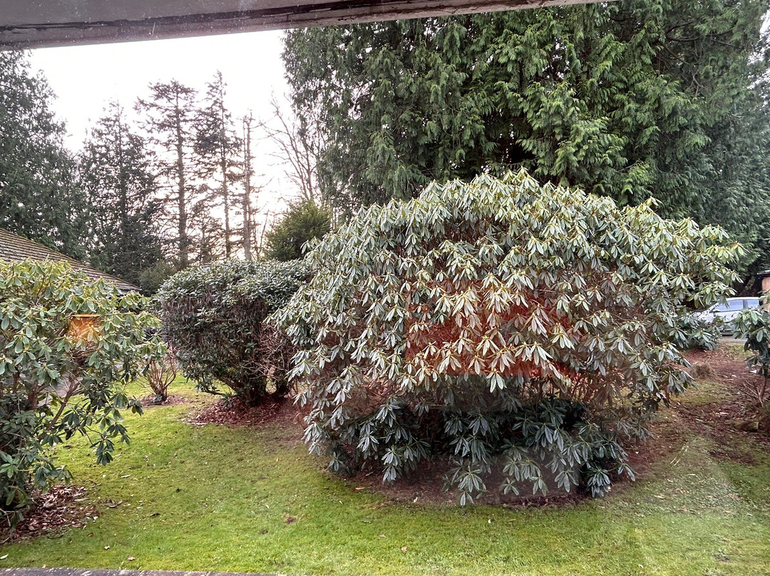 克罗亚德别墅酒店