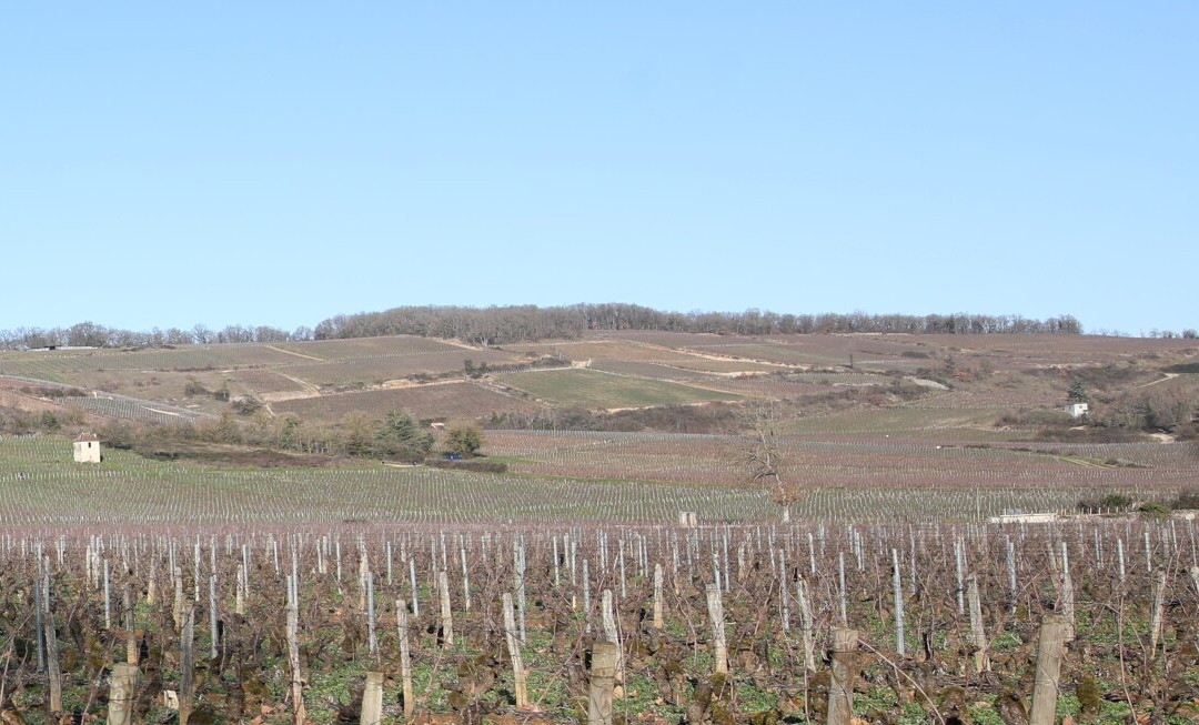 Statue de Notre Dame de Varanges-Givry必去景点