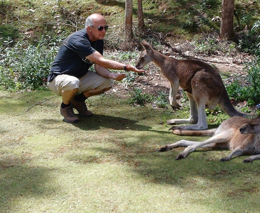 Tasmanian Devil Unzoo-塔拉纳必去景点