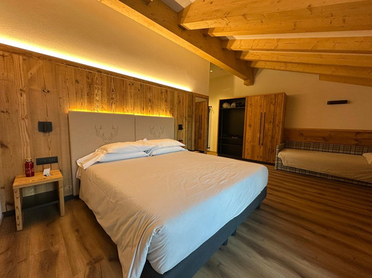 Hotel Alpino Wellness & SPA主图