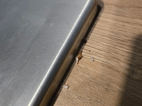 Wonderful Italy Experiences-米兰必去景点