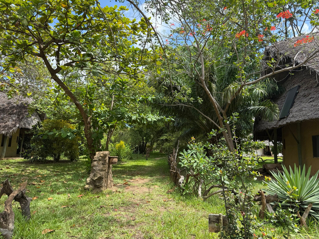 Eco Shamba Kilole Lodge主图