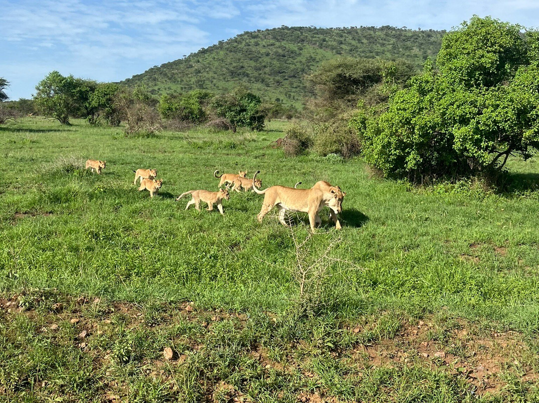易捷旅游-一日游-阿鲁沙必去景点