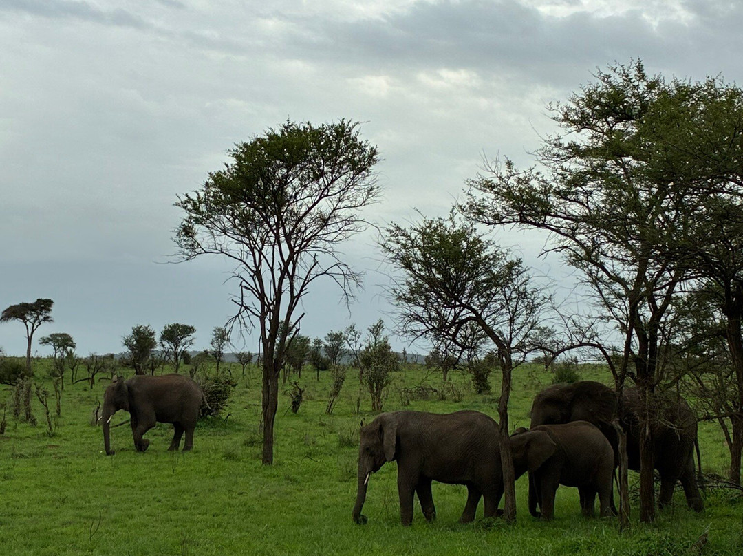 Passionate Safaris-Dar es Salaam必去景点