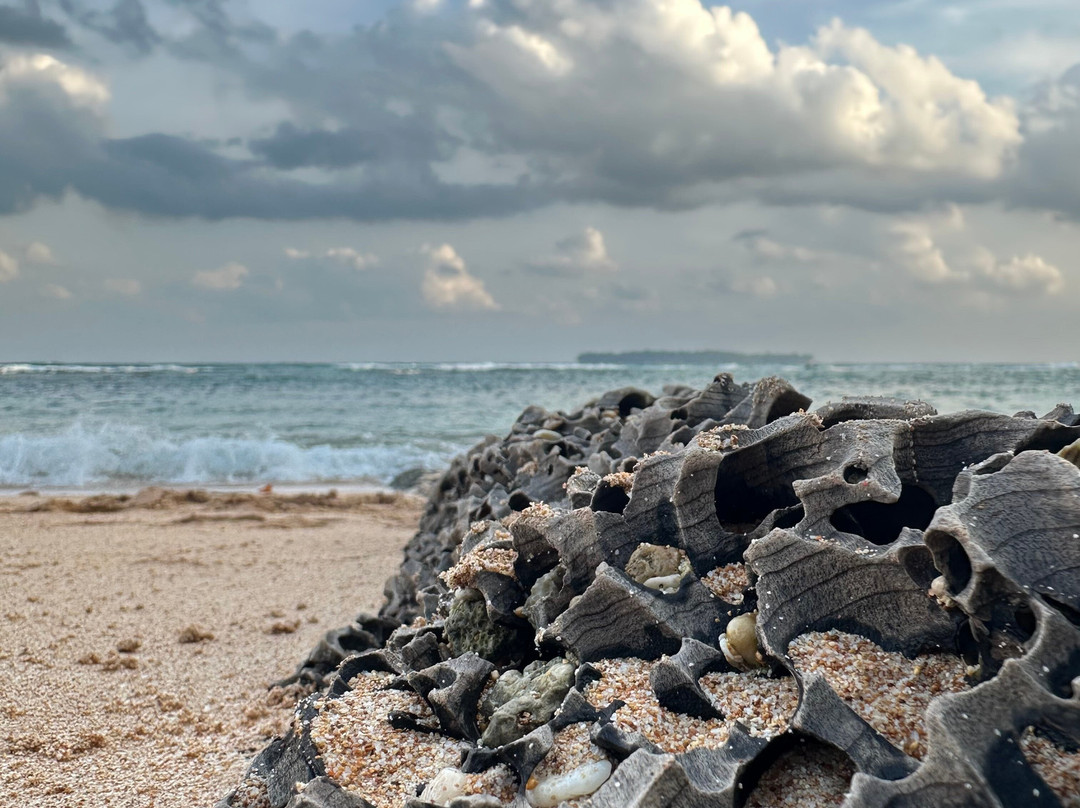 Dive Tribe-Neil Island必去景点