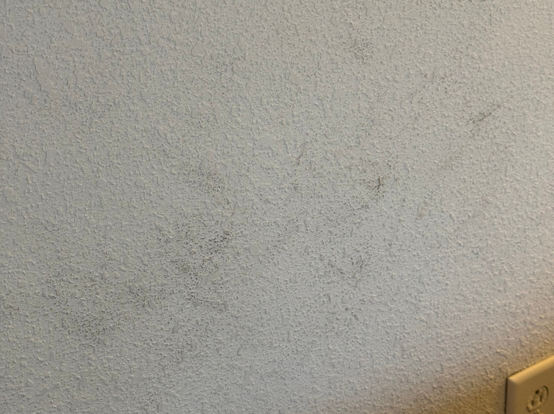 Hampton Inn Bainbridge主图