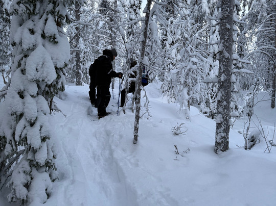 North Wind Lapland-Yllasjarvi必去景点