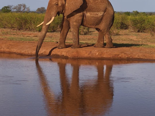 SAFARI KENYA CON ZENZERO - DAY TOURS-瓦塔木必去景点