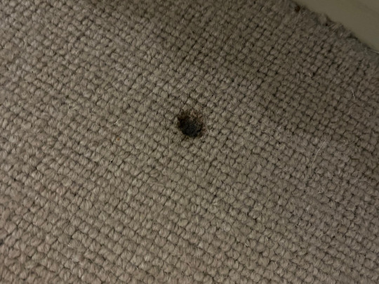 The Plough Inn主图