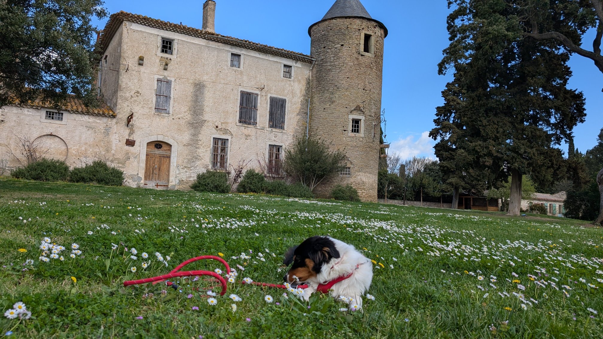 Les Cabanes Dans Les Bois  Logis Hôtel-官方