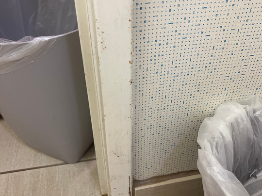 西南奥罗维尔快捷假日&套房酒店主图