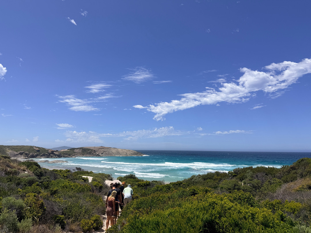 Wow Wilderness Ecocruises-沃泊尔必去景点