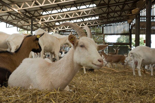 Rouenhof-Kevelaer必去景点