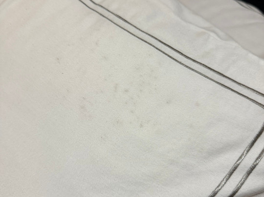 The Sea Lounge主图