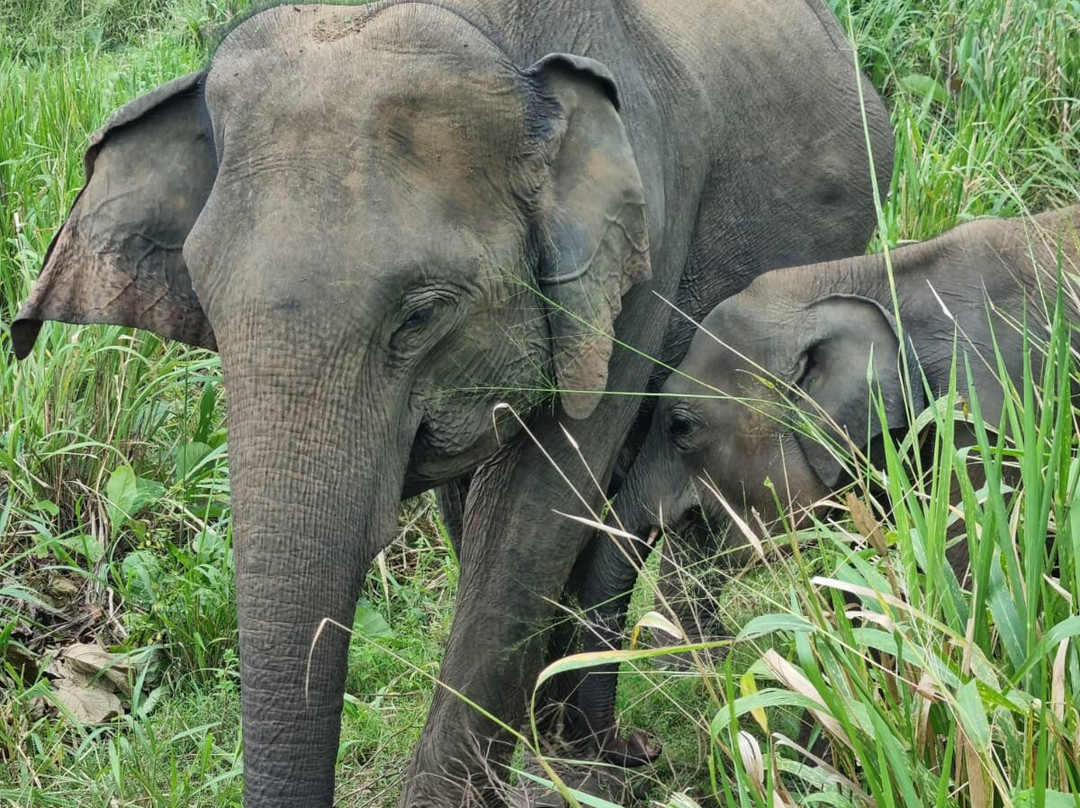 Rana's Travel Counter & Information Center-哈巴拉娜必去景点