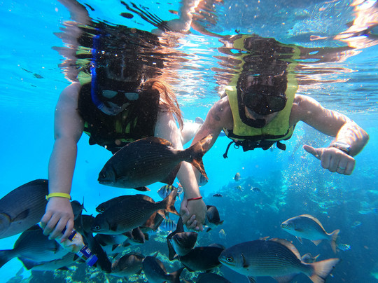 Snorkeling Tour Varadero-巴拉德罗必去景点