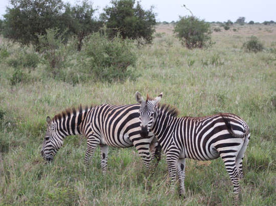 Dida Tours and Safaris-山祖必去景点