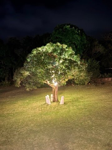 洛斯马达里诺斯精品酒店&Spa-官方