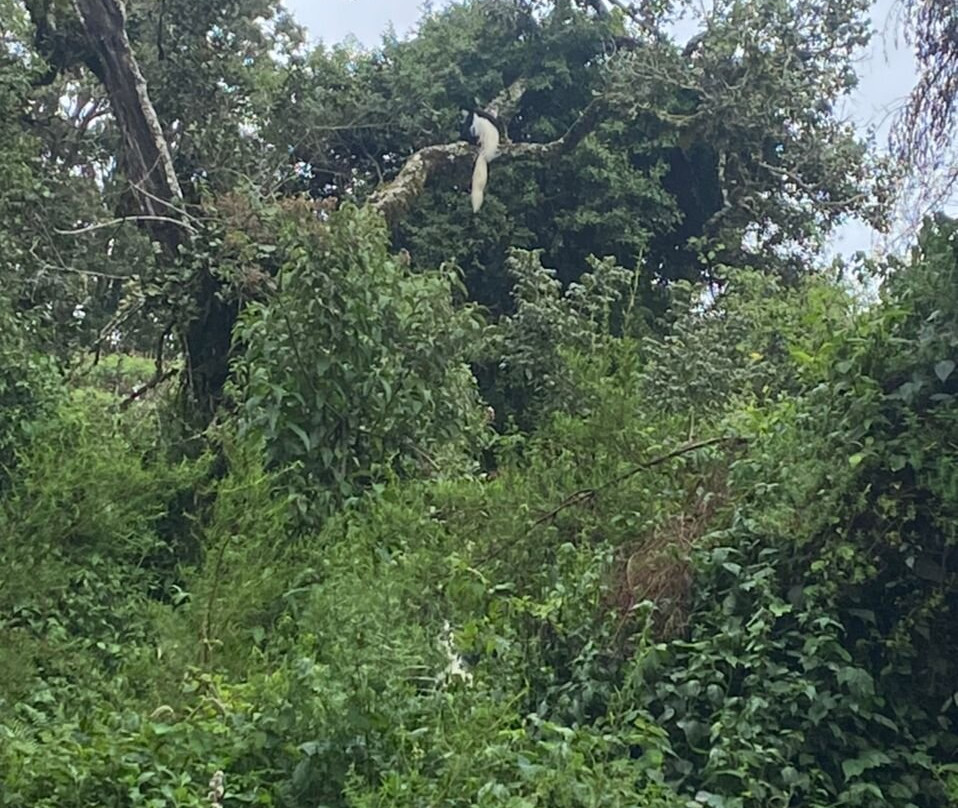 Sere adventure Safari-莫西必去景点