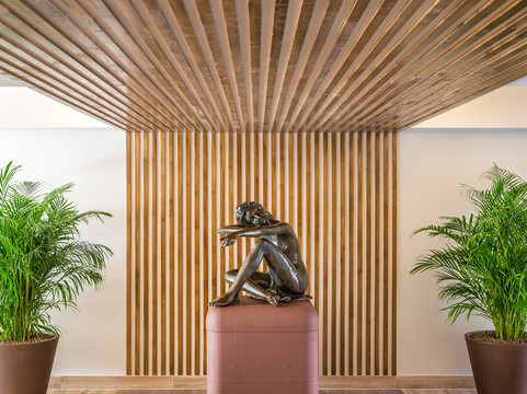 佩斯塔纳皇家全包式海洋水疗度假村主图