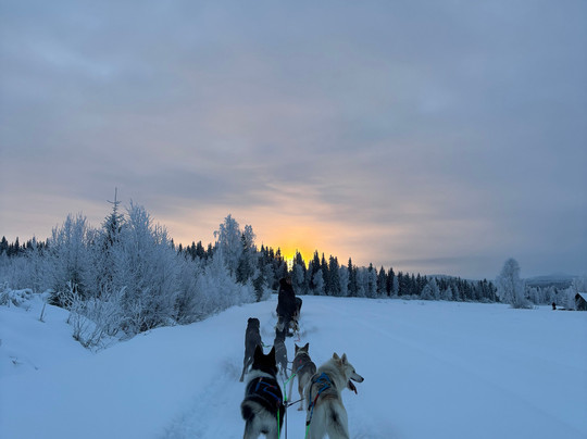 Aavasaksa Adventures-Ylitornio必去景点