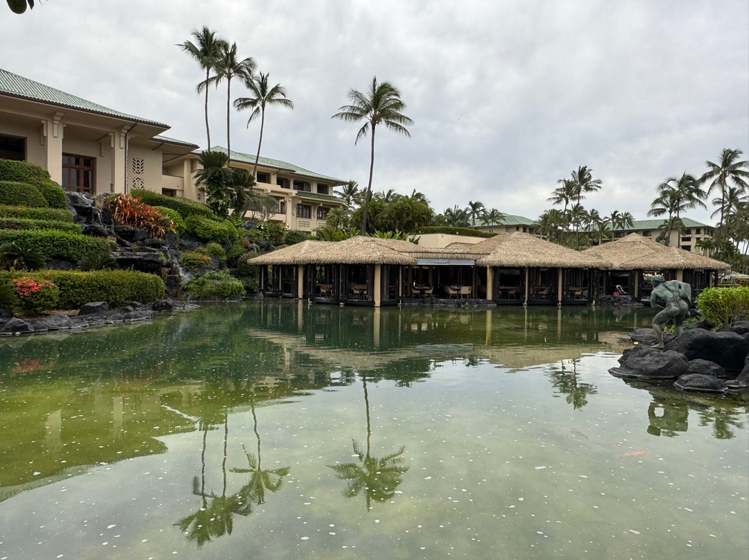 夏威夷餐馆和美食-Tidepools