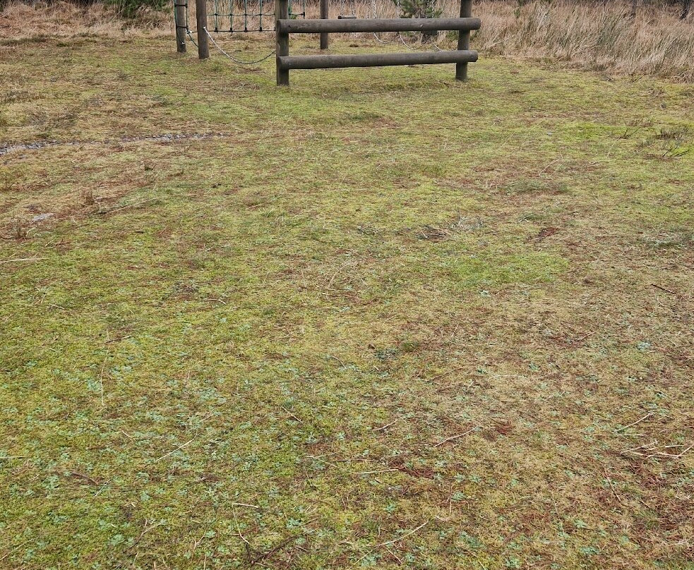 Aline Community Woodland Walks-斯托诺韦必去景点