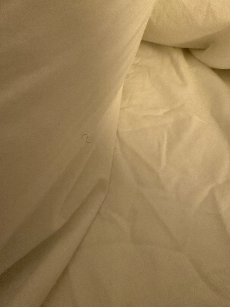 Hampton Inn & Suites Wisconsin Dells-官方