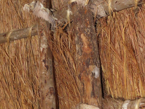 Lourie Trips & Tours-路易特里哈特必去景点