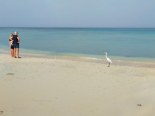 Into the Blue Lodge主图