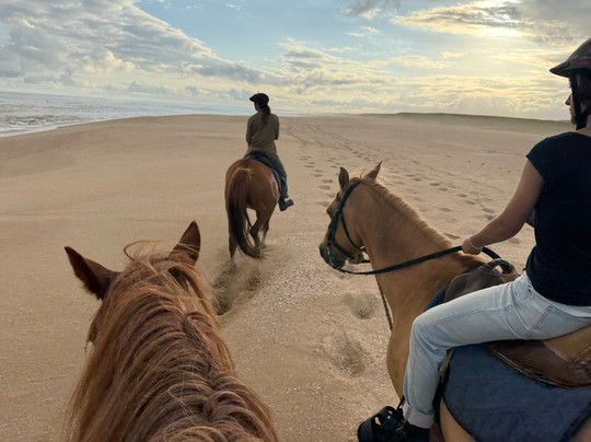 Eco Equus Cabalgatas-La Pedrera必去景点