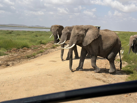 Jaynevy Tours-莫西必去景点