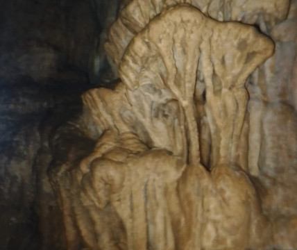 Cavernas Jumandy-Archidona必去景点