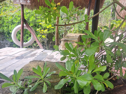 Cenote Sol y Luna.-从莫雷洛斯港必去景点