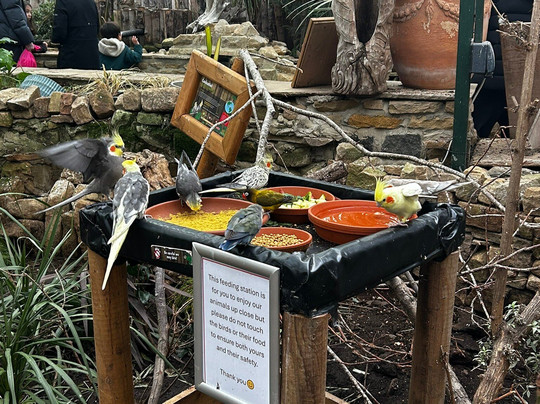 Potter's World-Lanchester必去景点