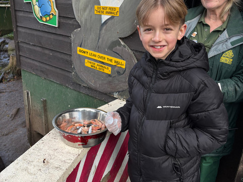 Shepreth Wildlife Park-Shepreth必去景点