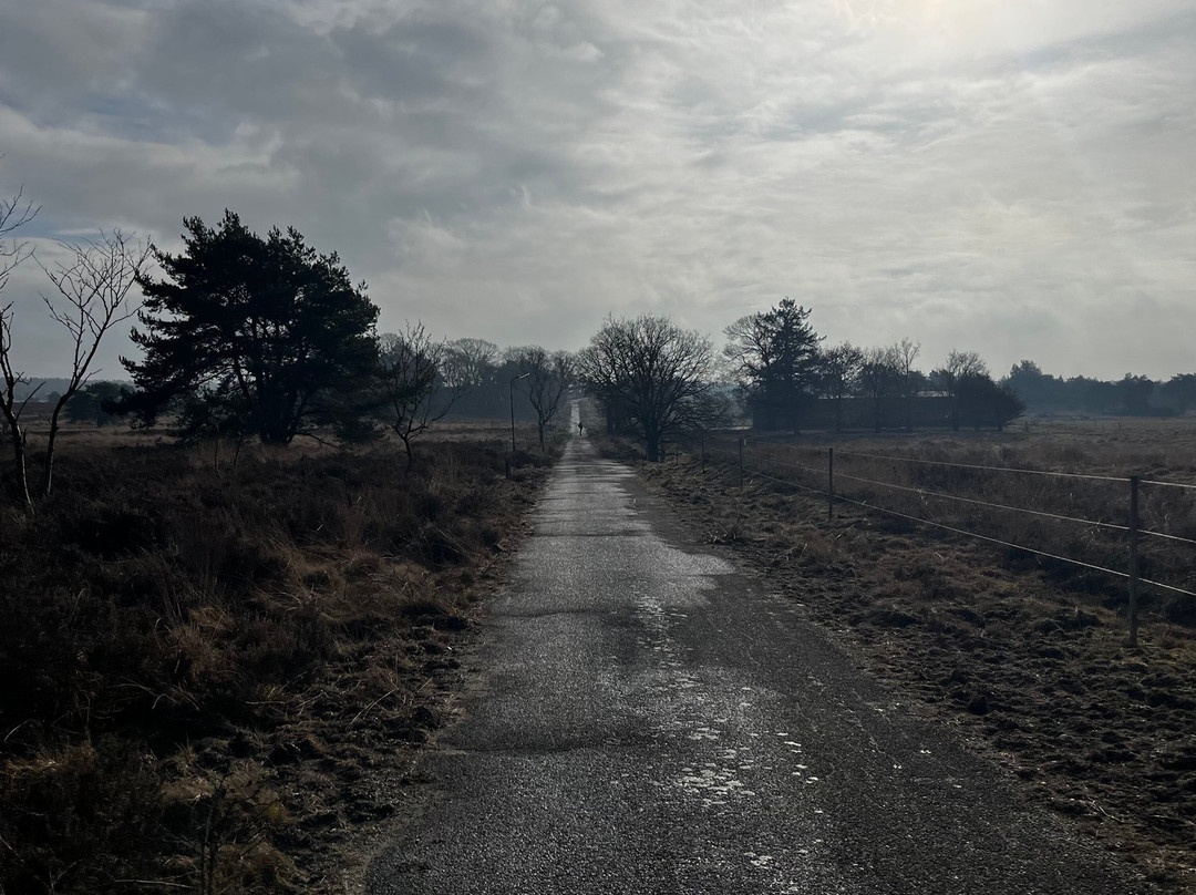 Radio Kootwijk Building-Radio Kootwijk必去景点